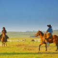 pampa-gaucho-skyscrapercity-657x450