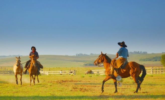 pampa-gaucho-skyscrapercity-657x450